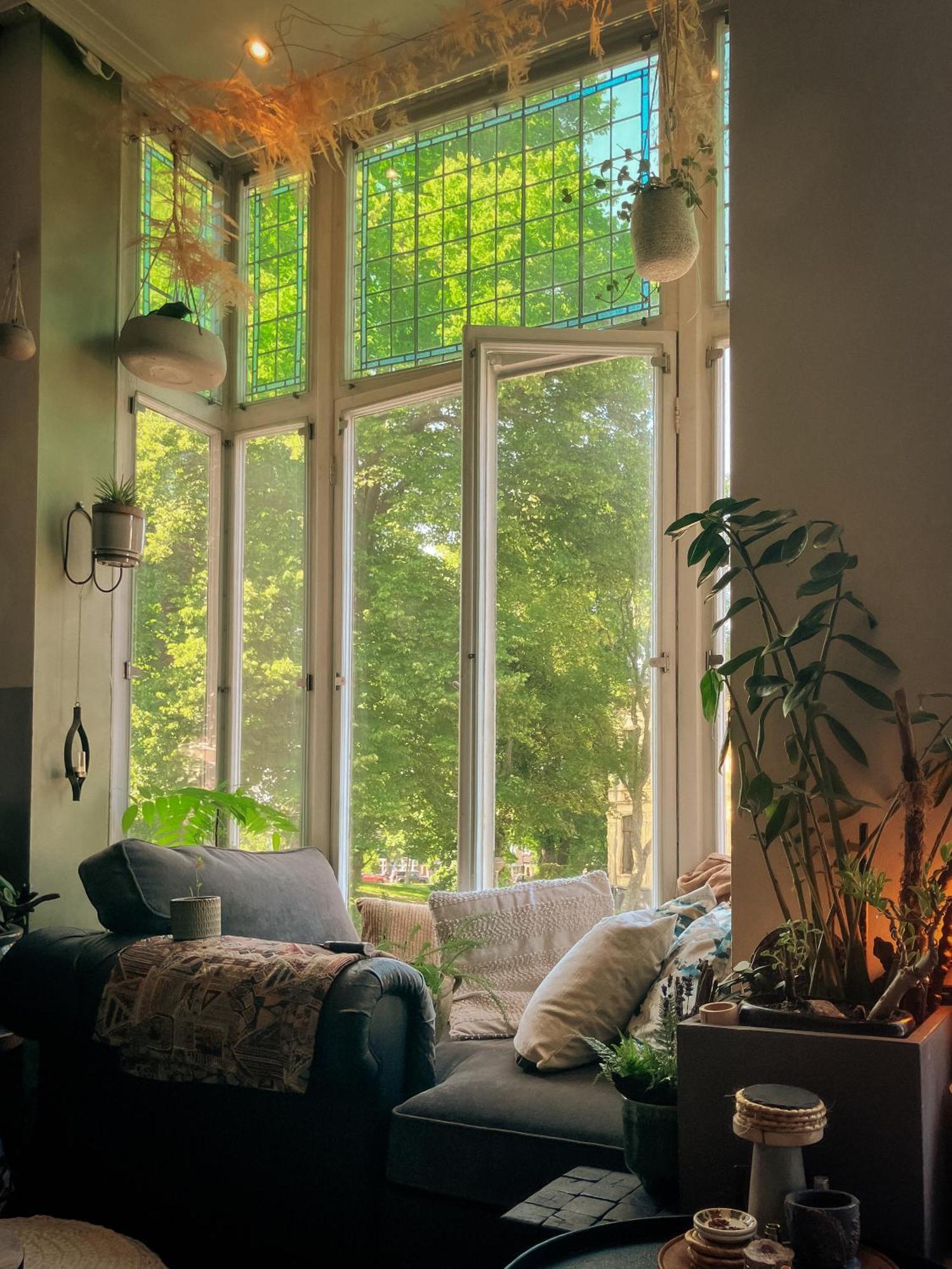 Lovely, 1898 Jugendstil Design Apartment, Old Haarlem City Centre, Fully Renovated With Parkview Near Amsterdam And Zandvoort, Bloemendaal Beach Luaran gambar