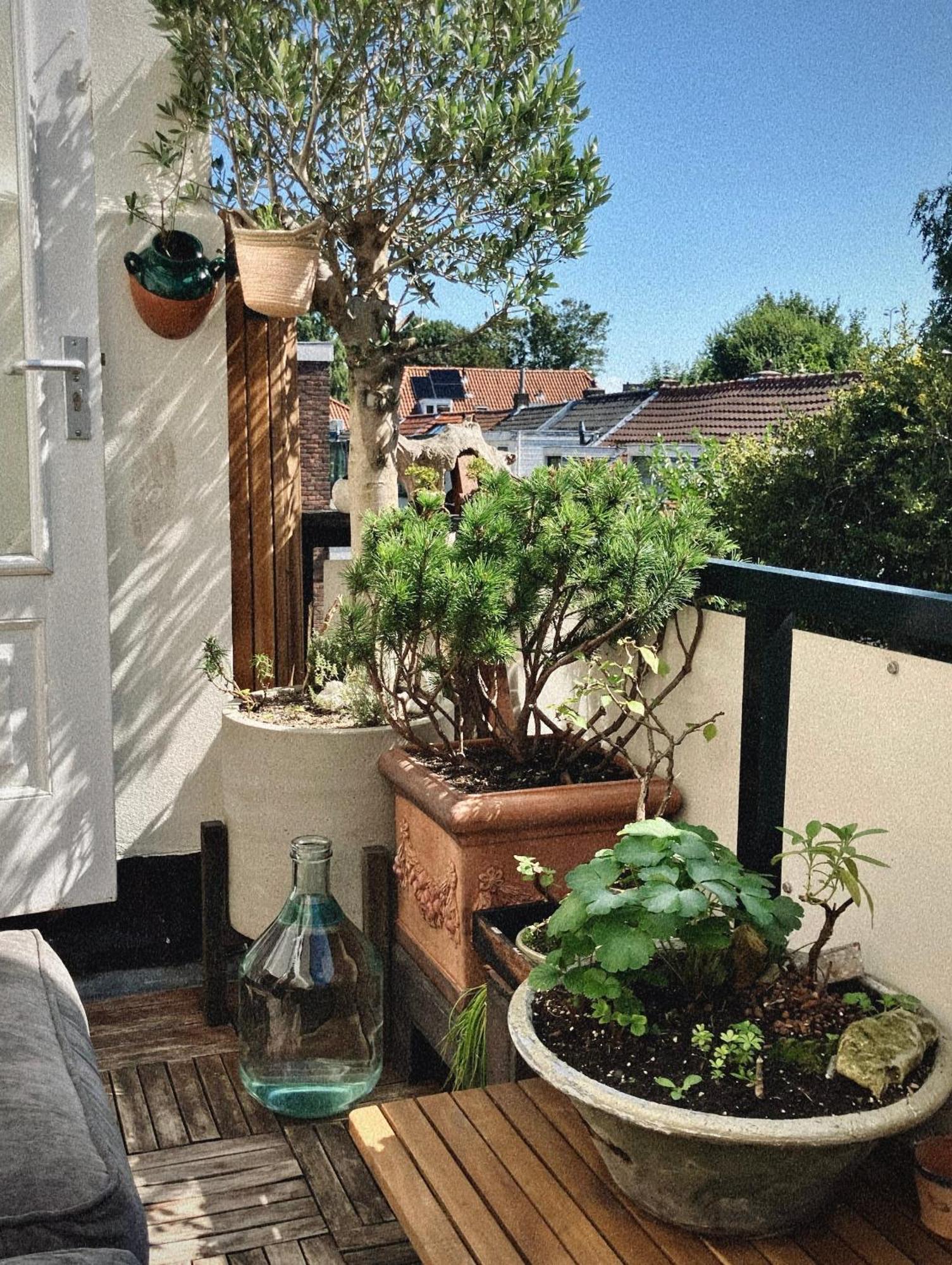 Lovely, 1898 Jugendstil Design Apartment, Old Haarlem City Centre, Fully Renovated With Parkview Near Amsterdam And Zandvoort, Bloemendaal Beach Luaran gambar